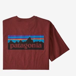 Patagonia P-6 Logo Organic Cotton T-Shirt